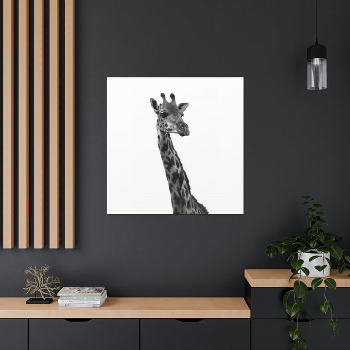 Giraffe Portrait in Black and White  - Canvas