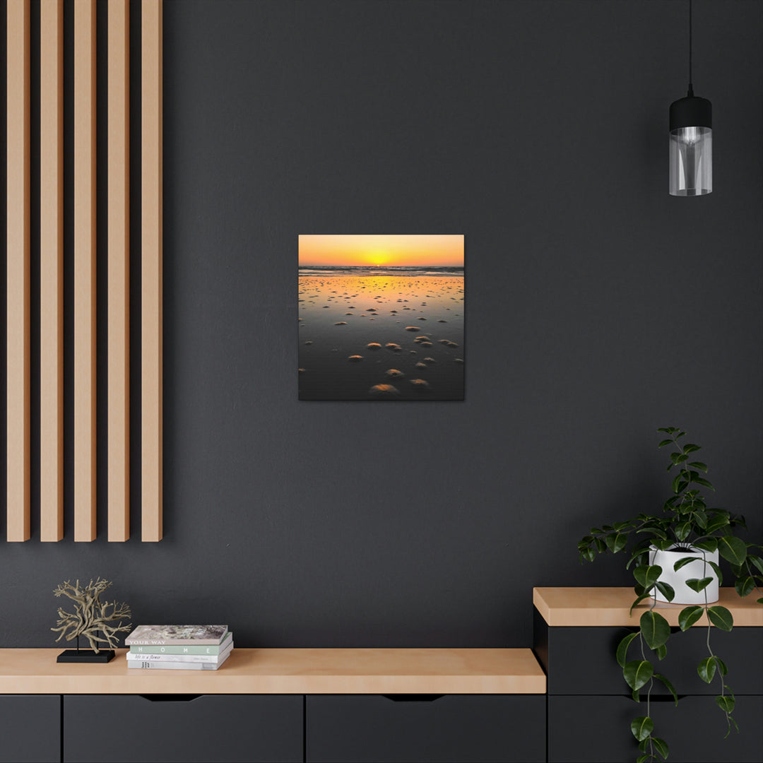 Burrows at Sunrise - Canvas