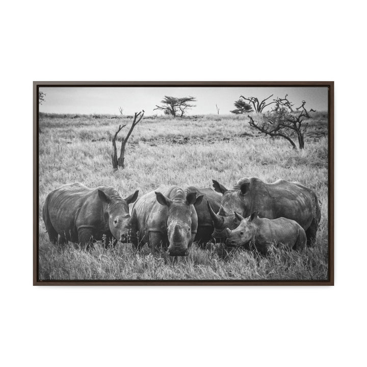 Rhino Family in Black and White - Canvas with Frame