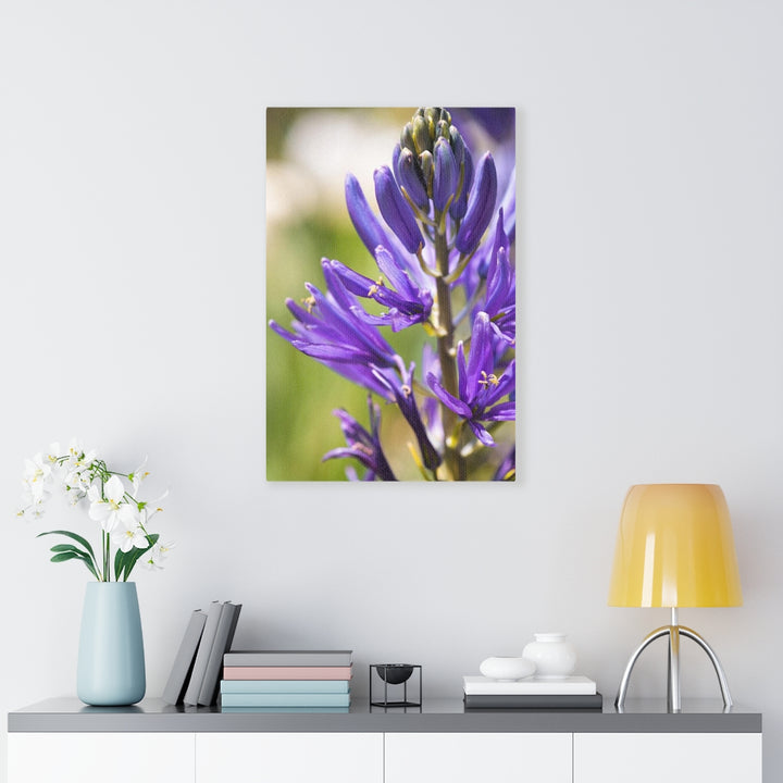 Camas in Bloom - Canvas