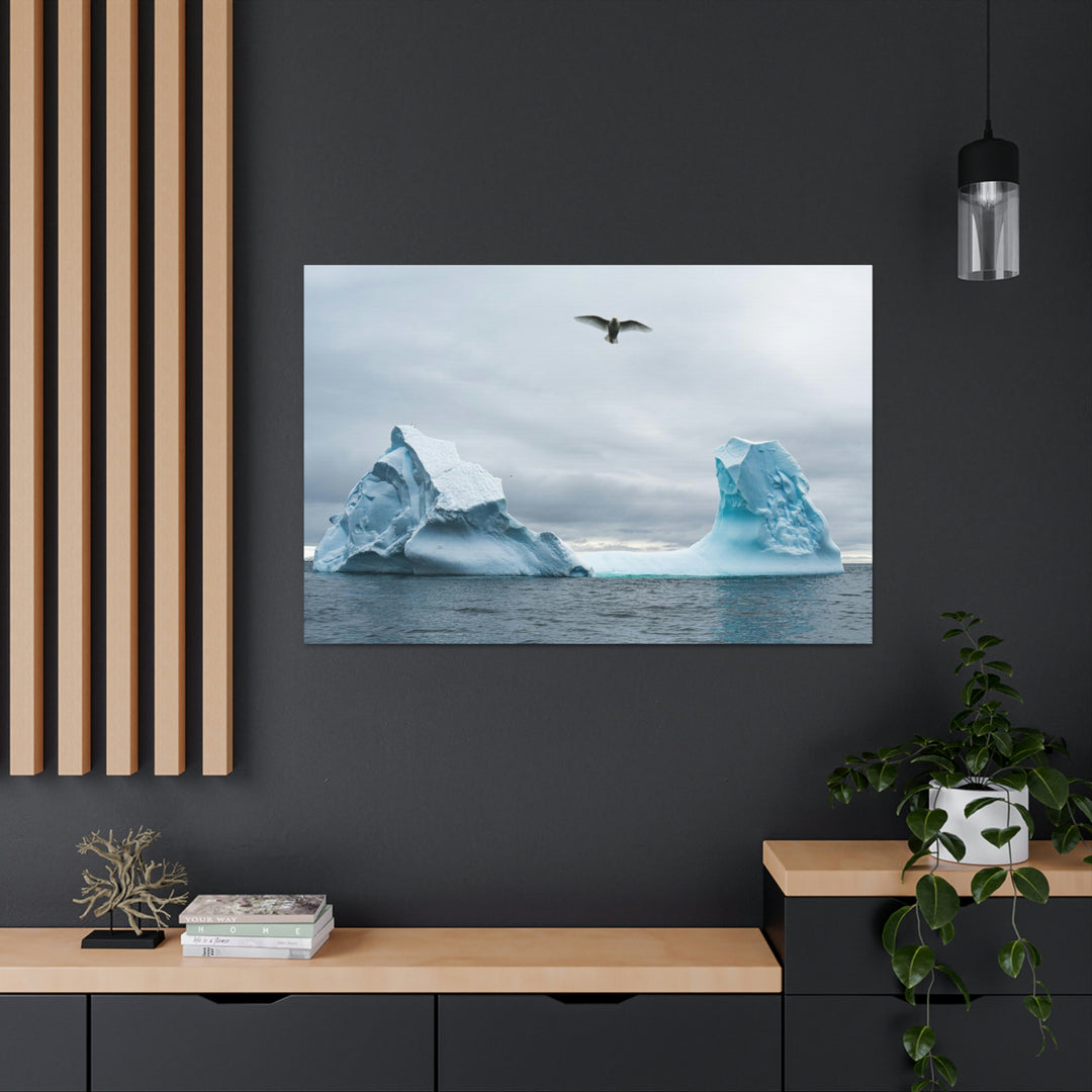 Antarctic Flight - Canvas