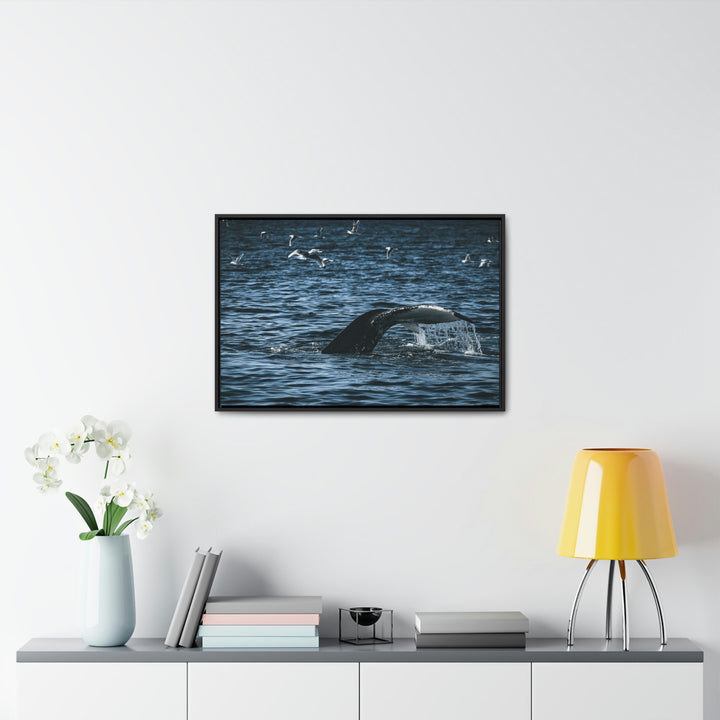 Feeding Tail - Canvas with Frame