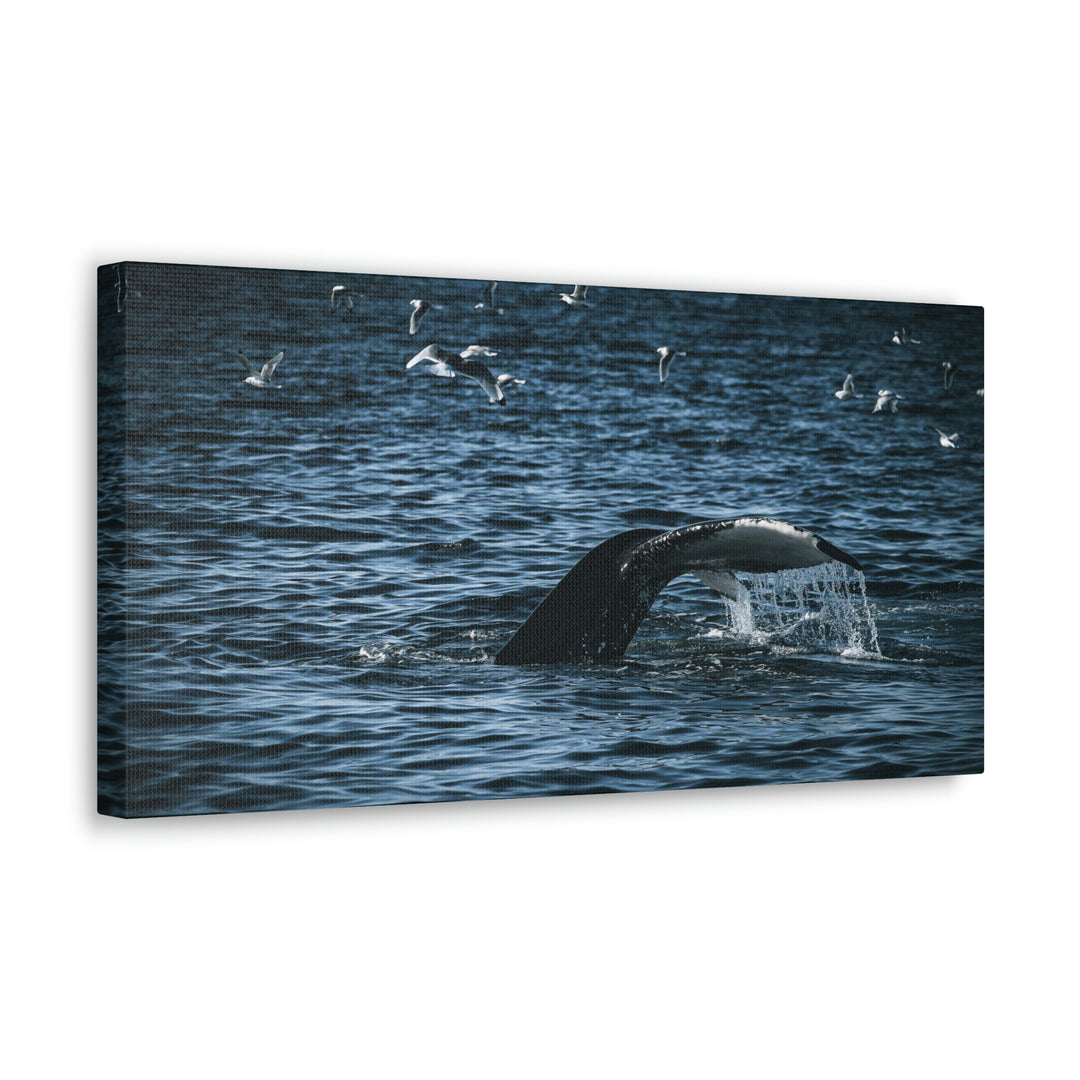 Feeding Tail - Canvas