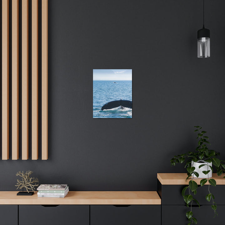 A Whale and A Mountain - Canvas