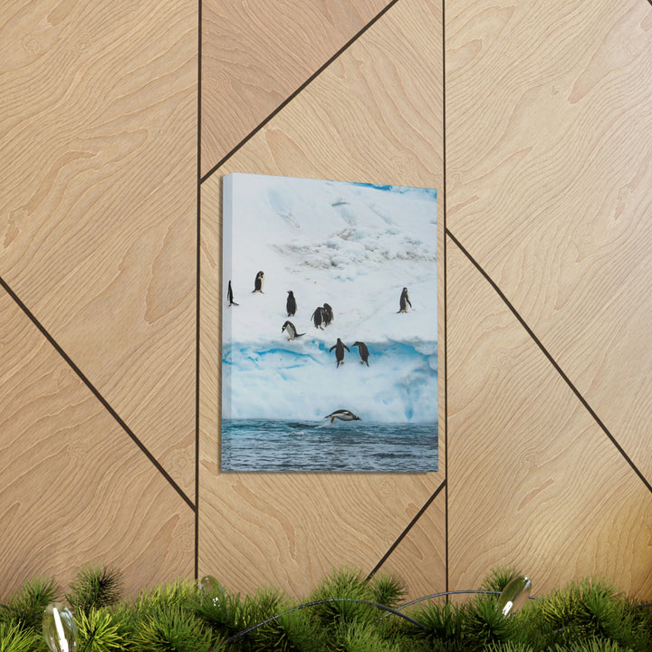 Porpoising Penguin - Canvas