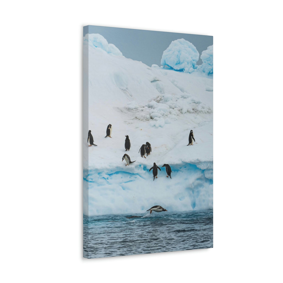 Porpoising Penguin - Canvas