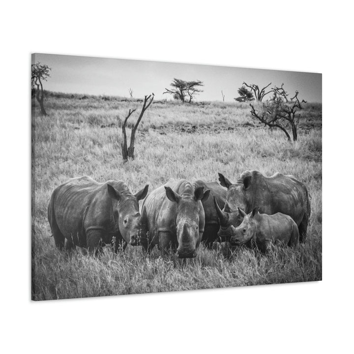 Rhino Family in Black and White - Canvas