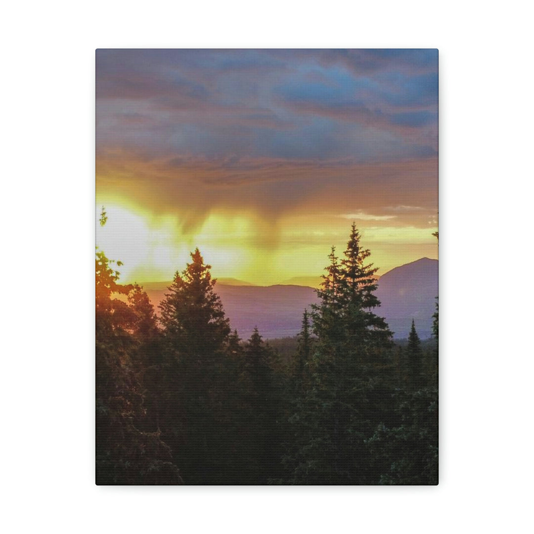 Rainy Sunset Through the Trees - Canvas