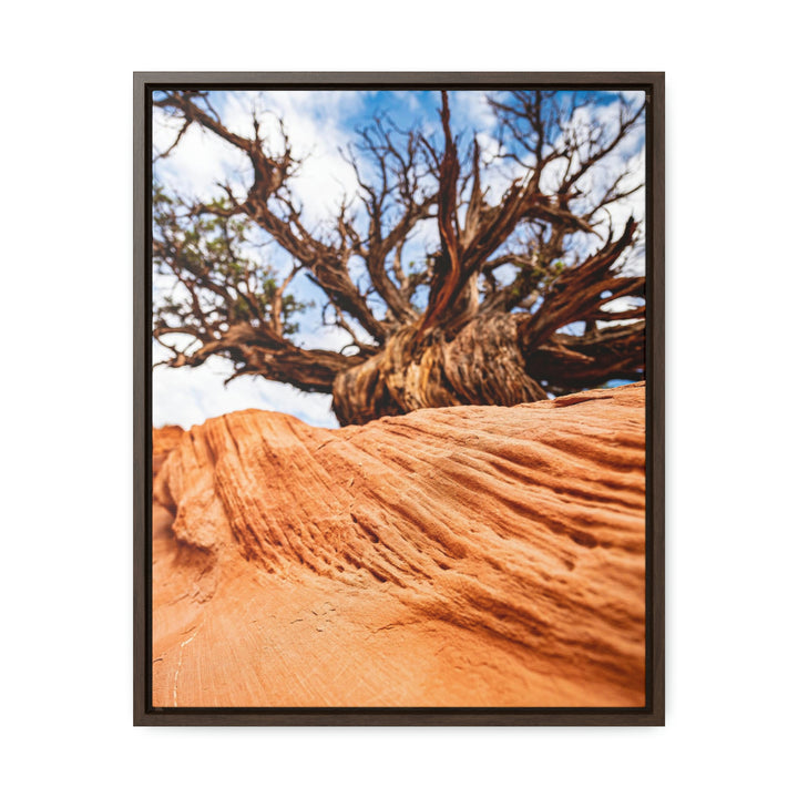 Desert Reach - Canvas with Frame