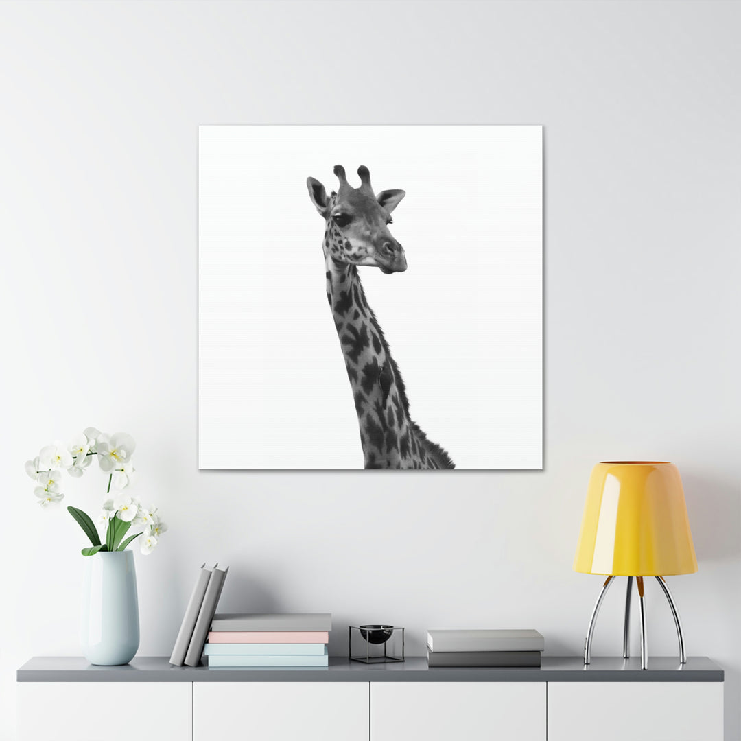 Giraffe Portrait in Black and White  - Canvas