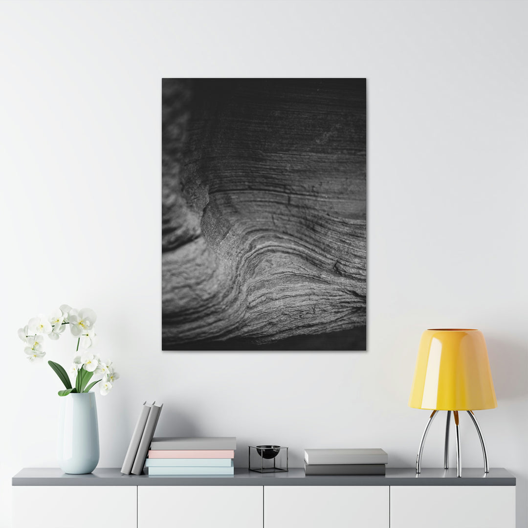 Sedimentary Rock Curves in Black and White - Canvas