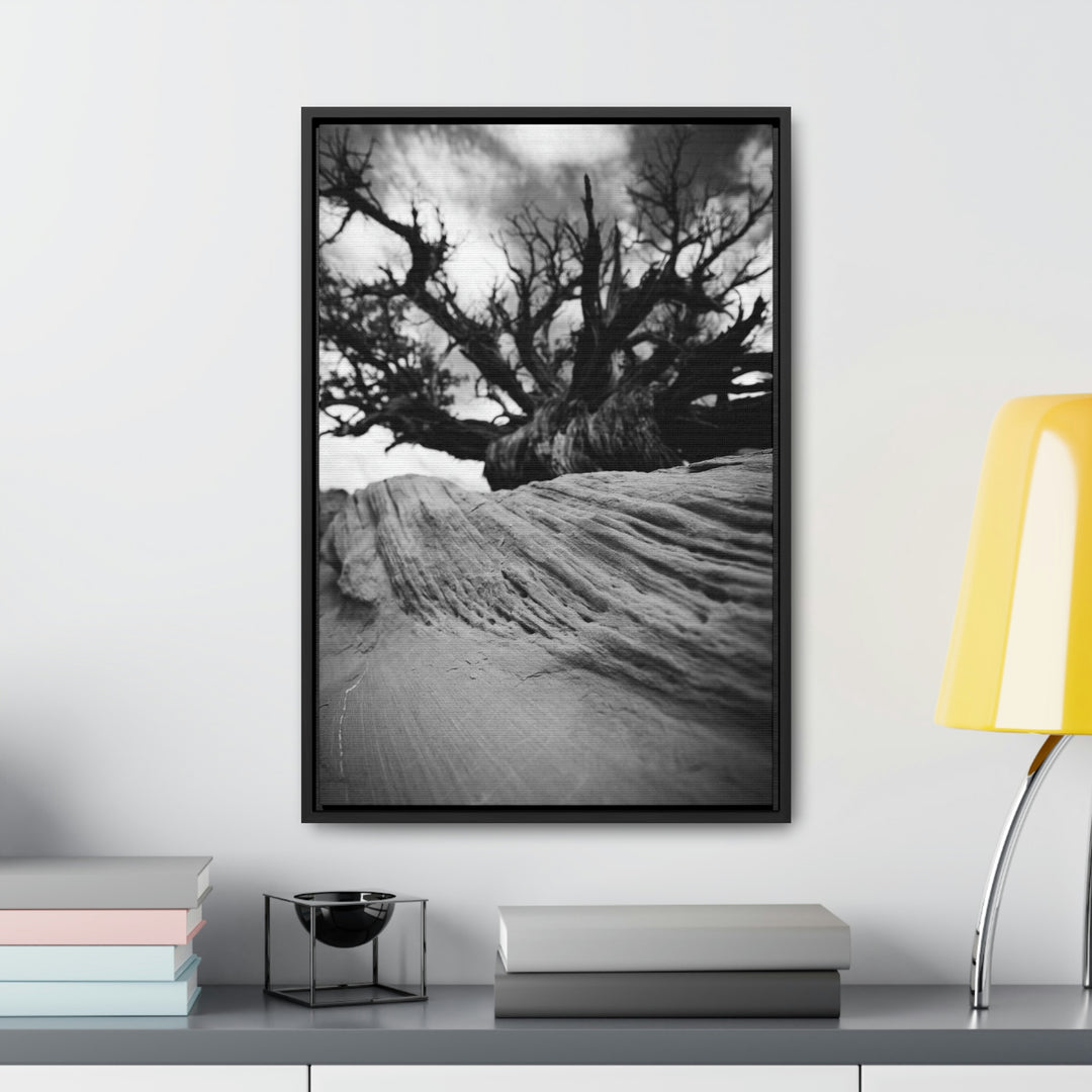 Desert Reach in Black and White - Canvas with Frame