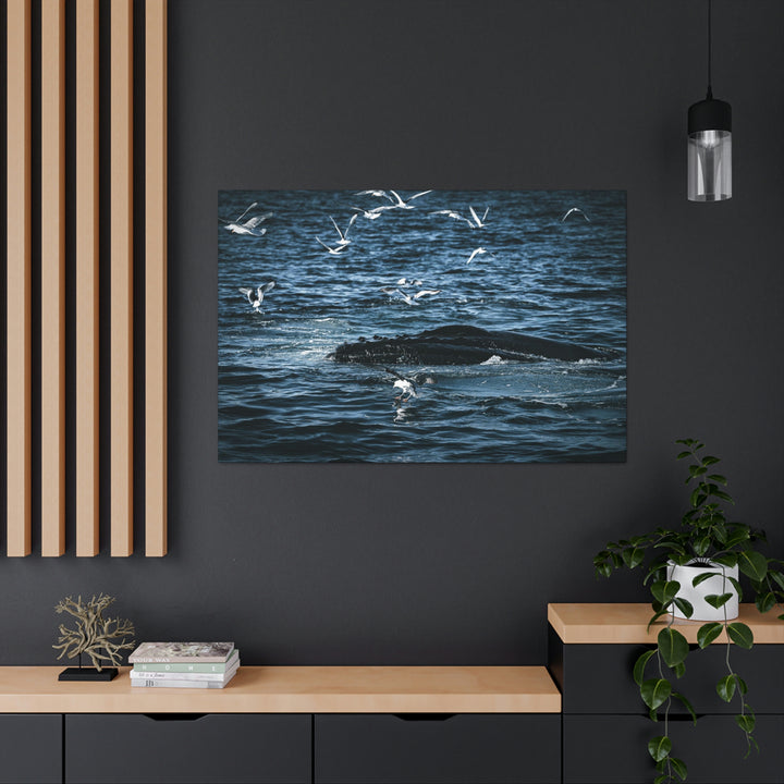 Humpback Hello - Canvas