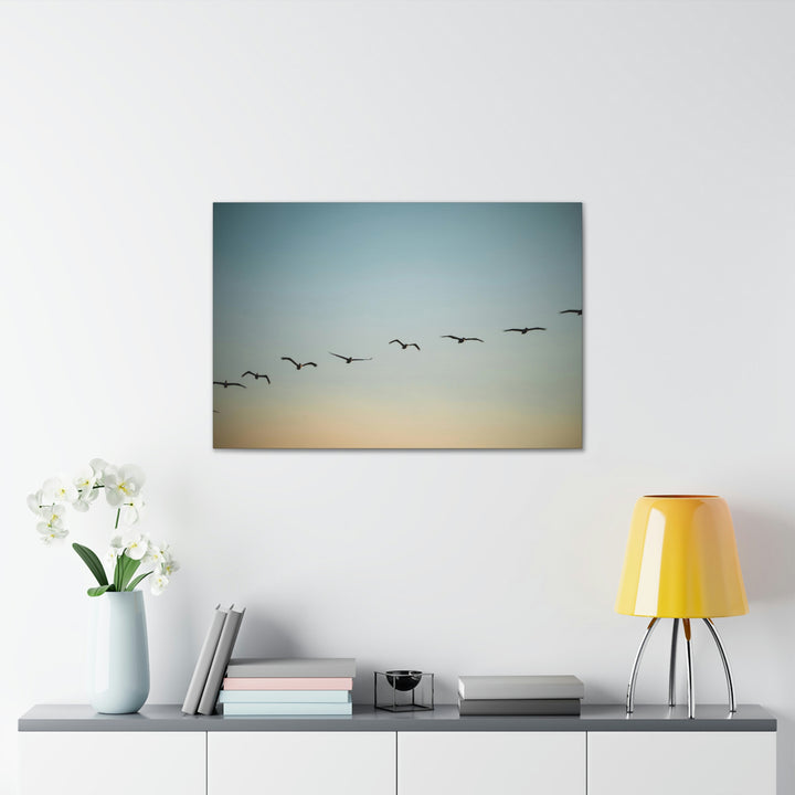 Brown Pelicans in Flight - Canvas