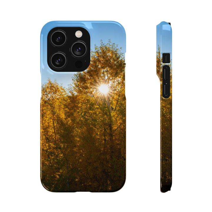 Sun Through the Aspens - Phone Case