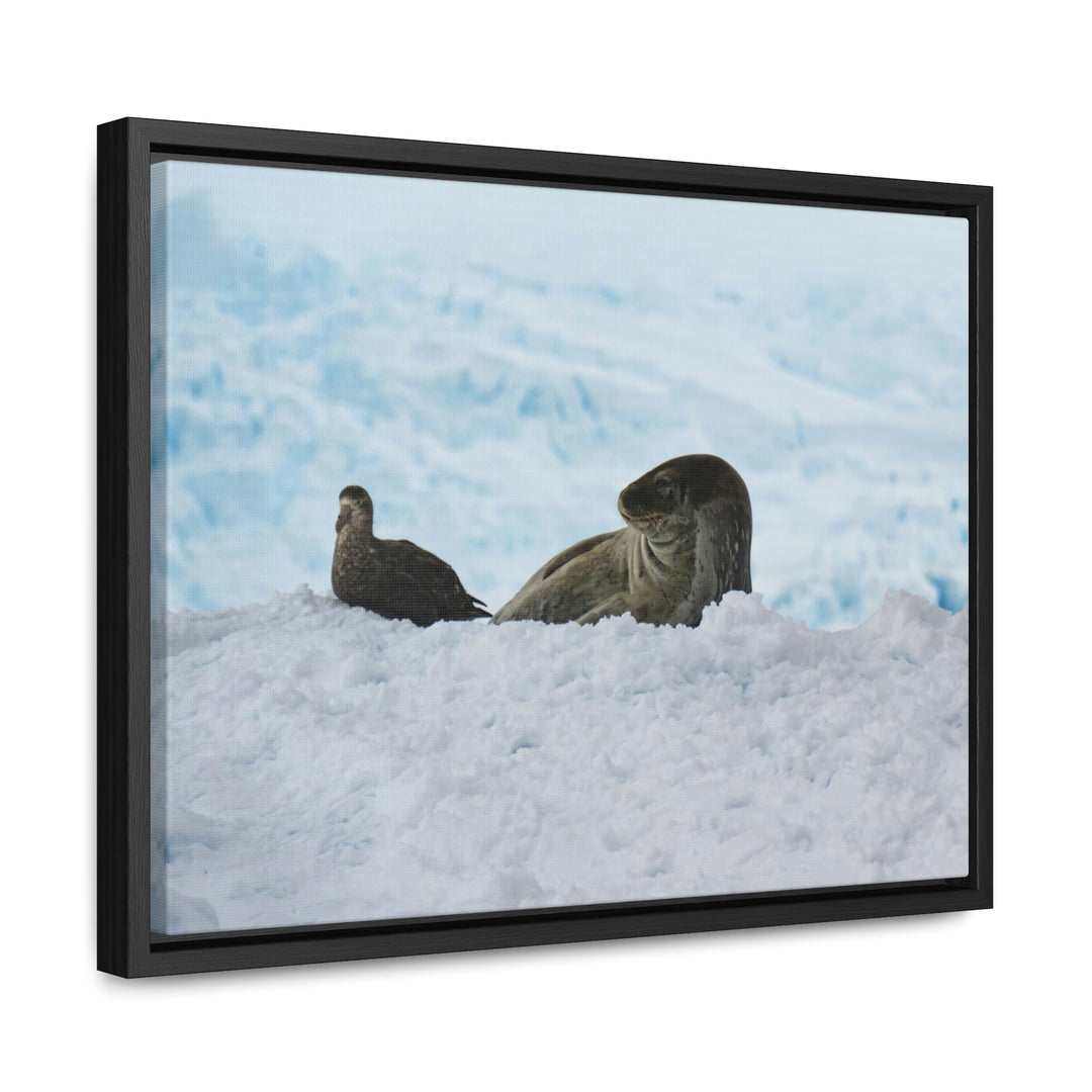 A Resting Pair - Canvas with Frame