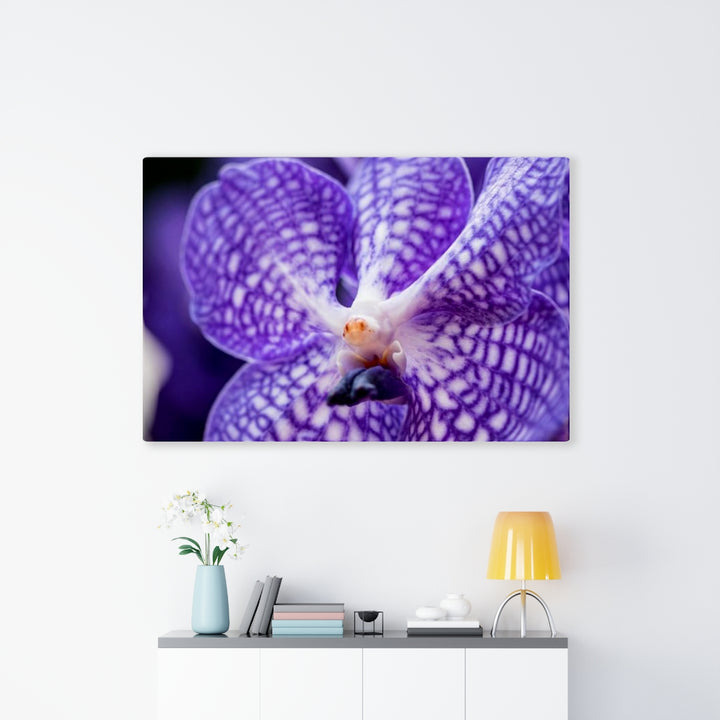 Orchid Detail - Canvas