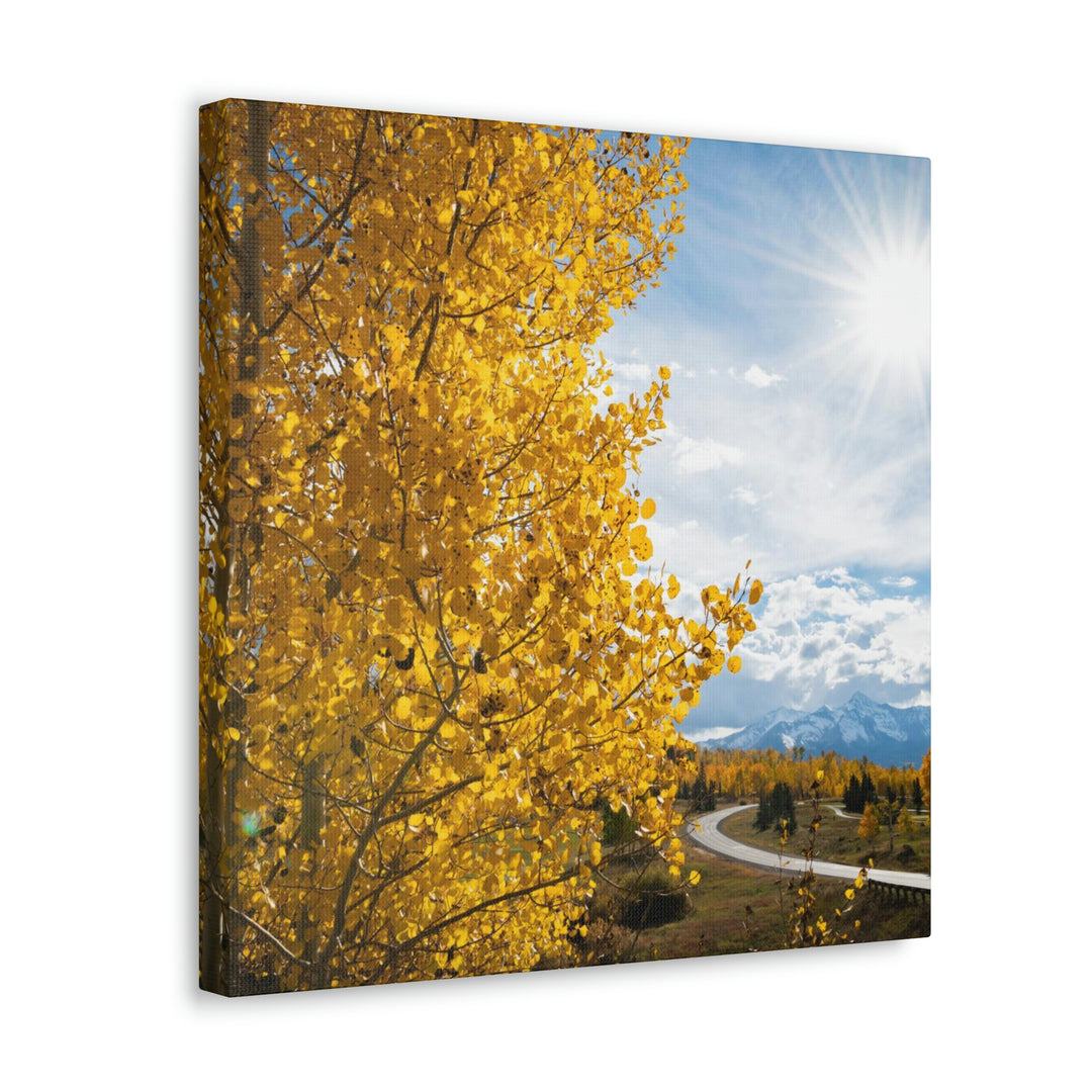 Golden Sunshine - Canvas