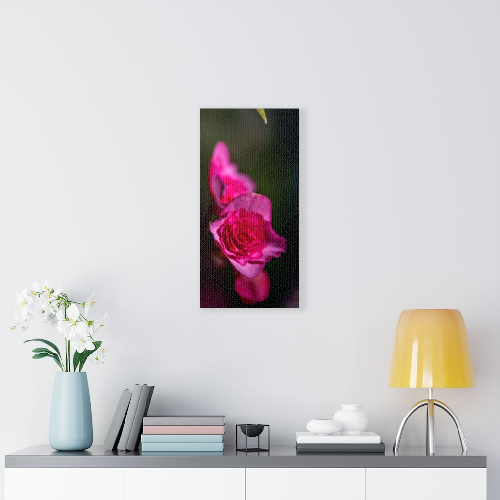 Hybrid Tea Lily - Canvas