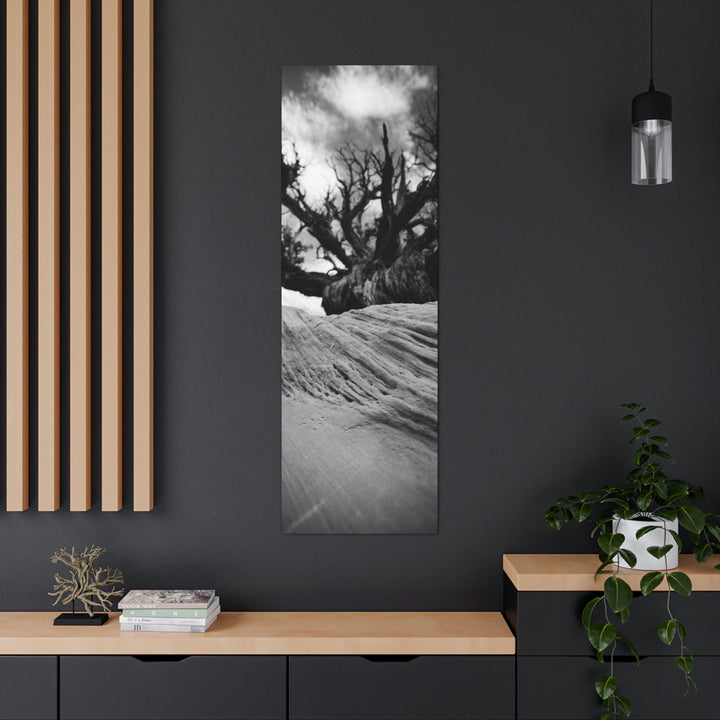 Desert Reach in Black and White - Canvas