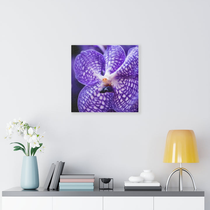 Orchid Detail - Canvas