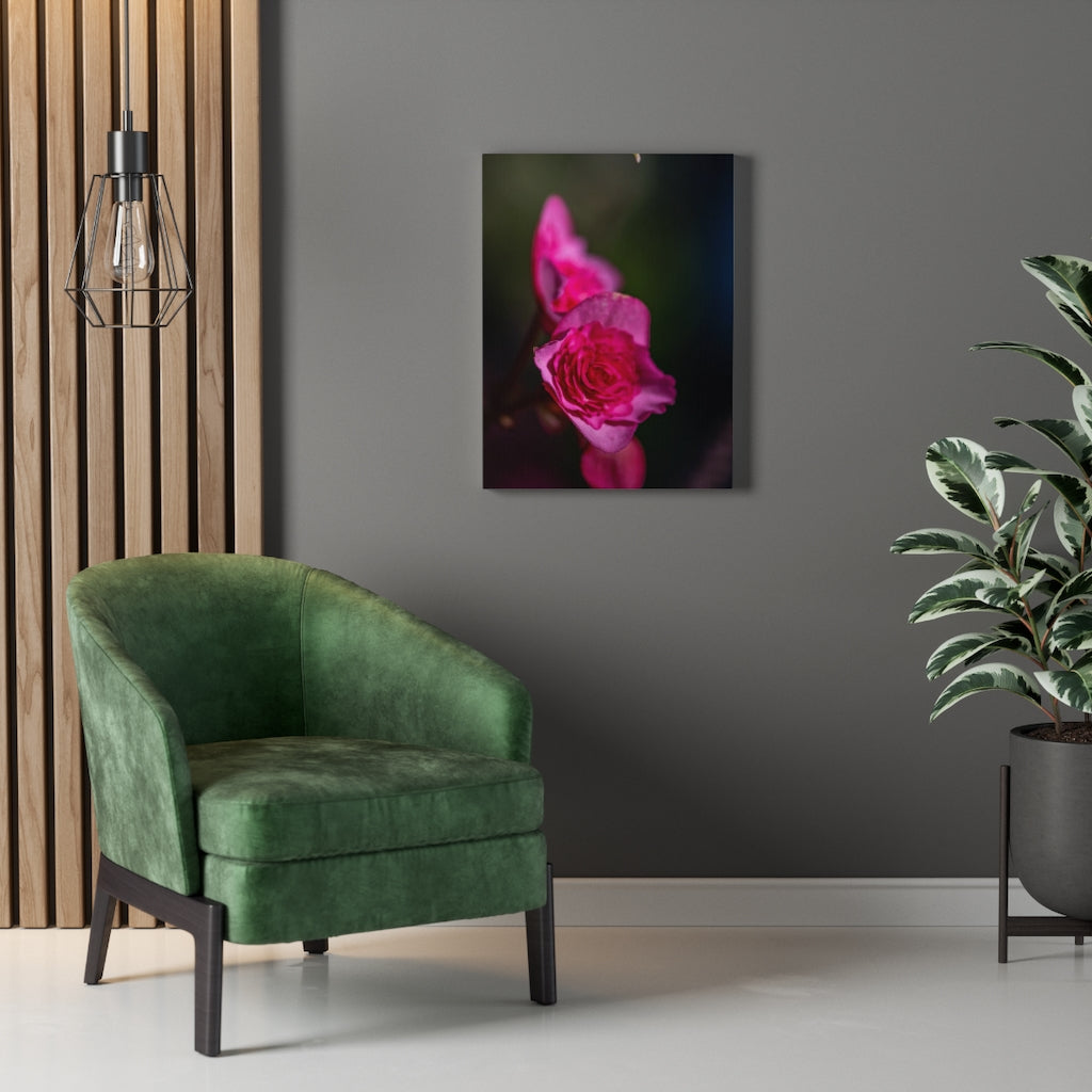 Hybrid Tea Lily - Canvas