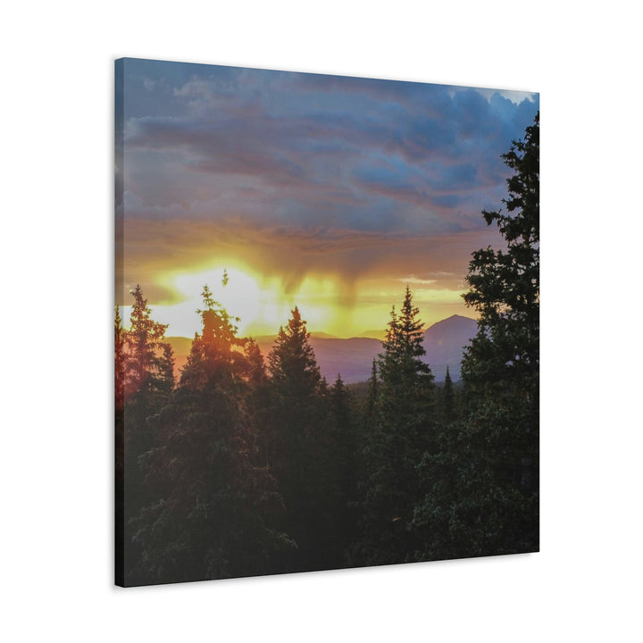 Rainy Sunset Through the Trees - Canvas