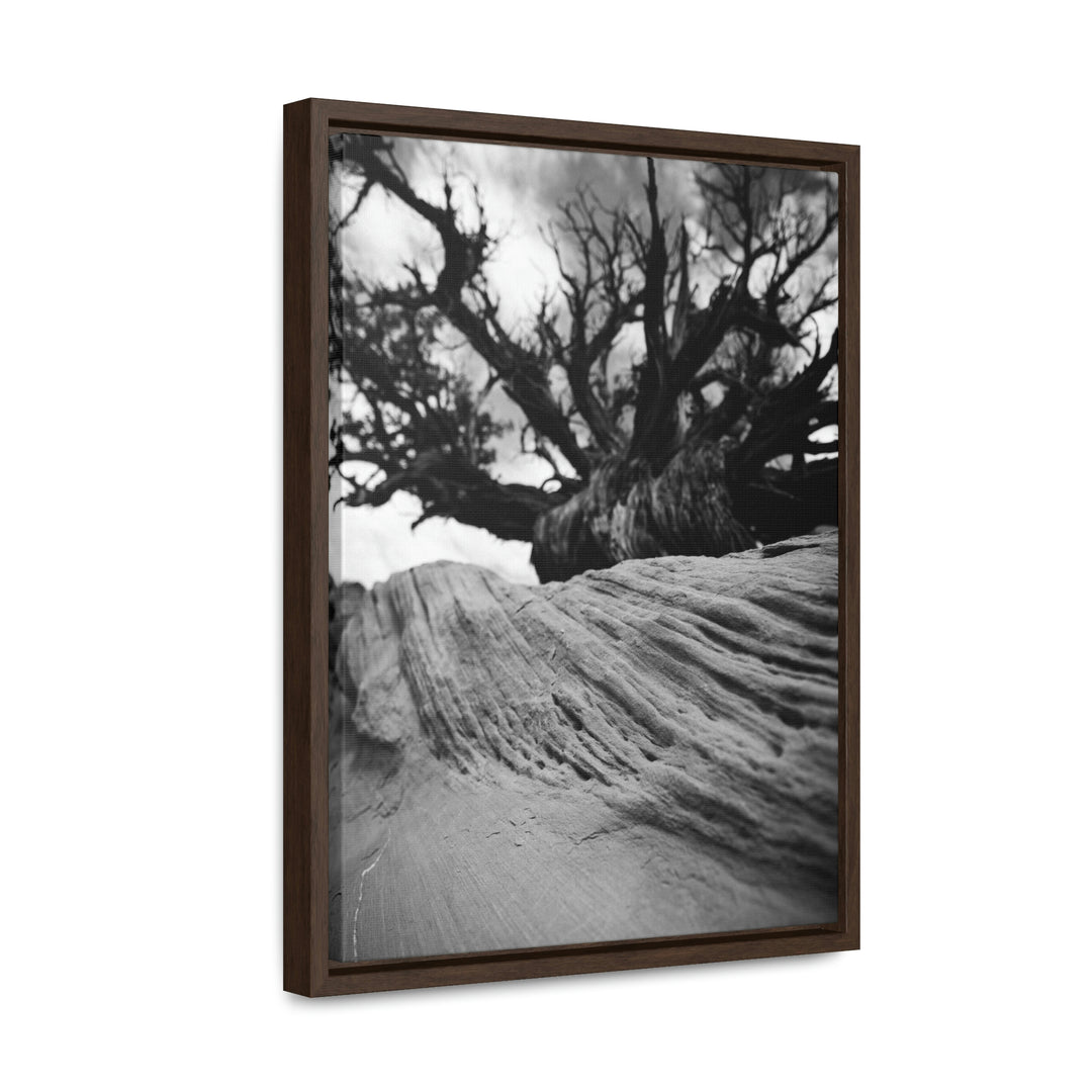 Desert Reach in Black and White - Canvas with Frame