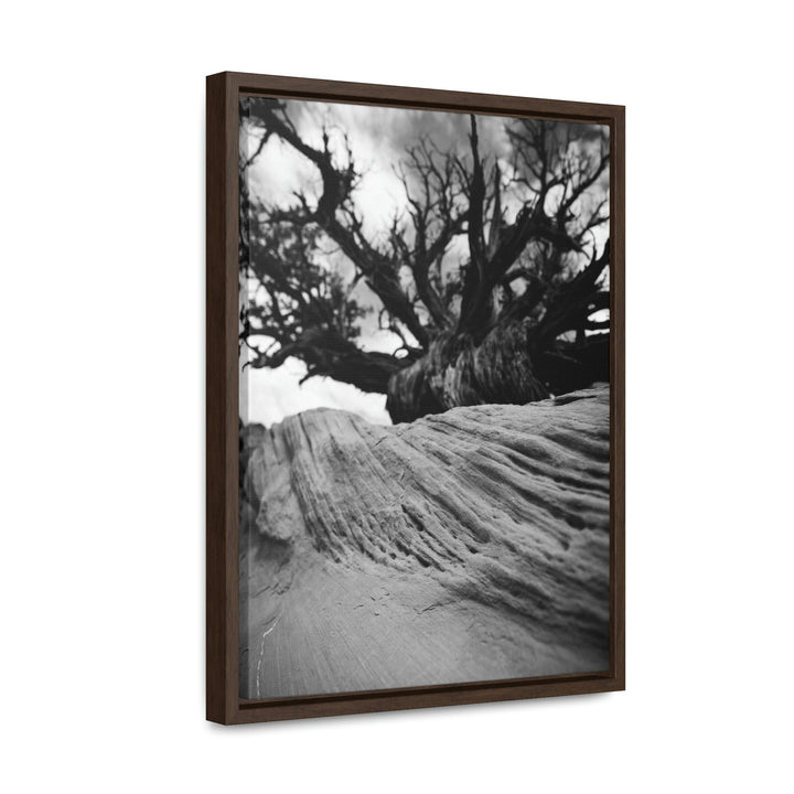 Desert Reach in Black and White - Canvas with Frame