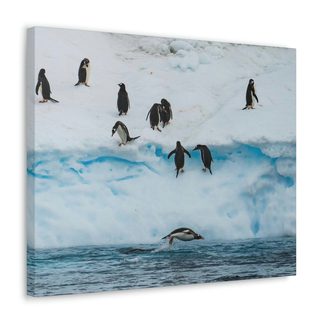 Porpoising Penguin - Canvas