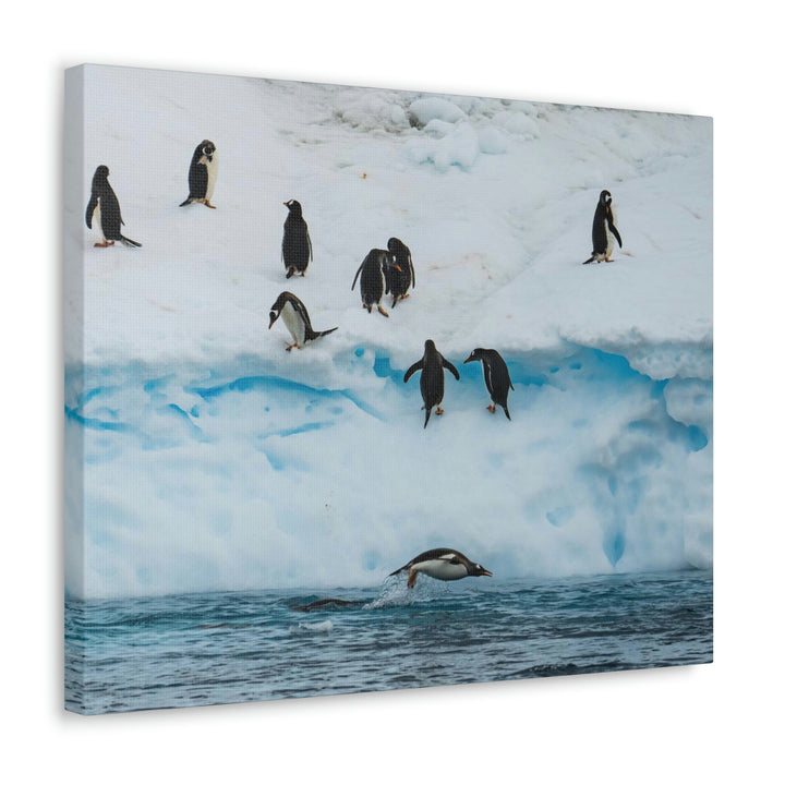 Porpoising Penguin - Canvas