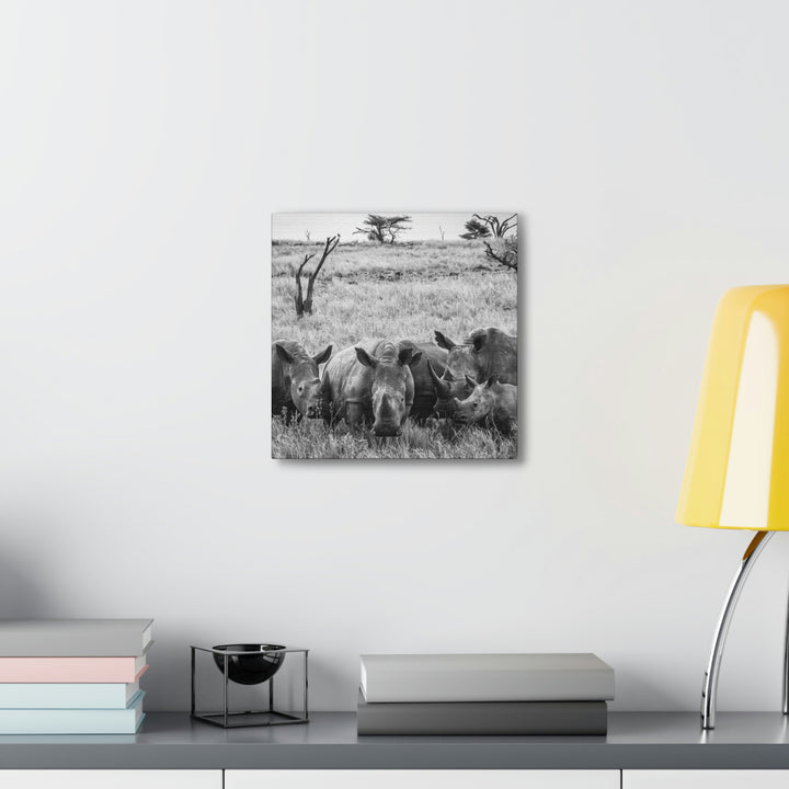 Rhino Family in Black and White - Canvas