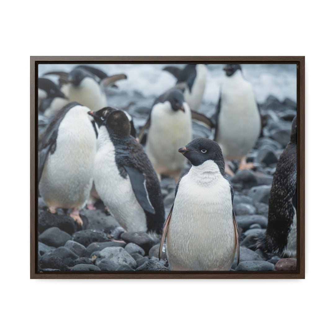 Drying Out - Canvas with Frame