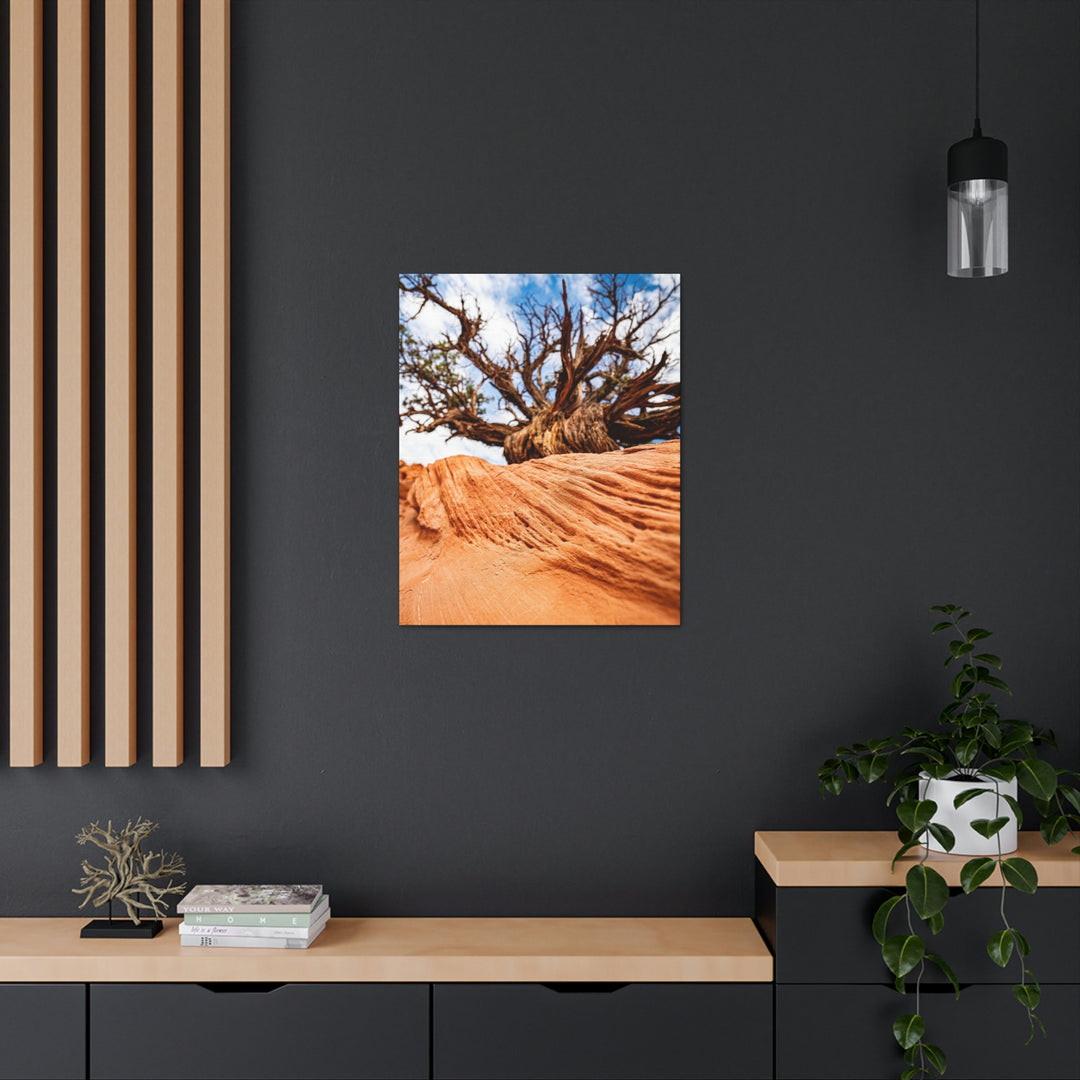 Desert Reach - Canvas