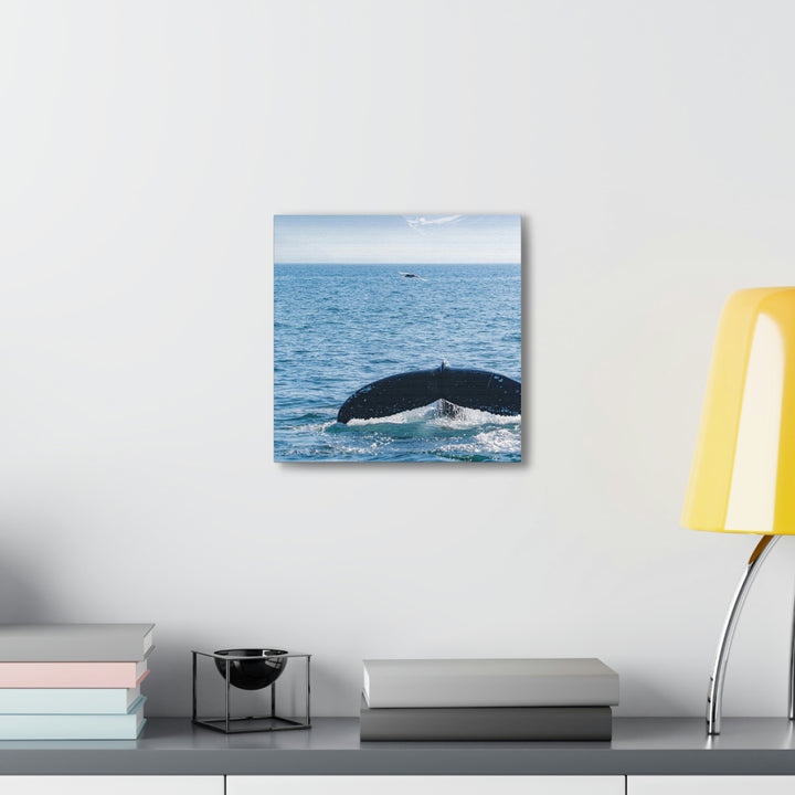 A Whale and A Mountain - Canvas