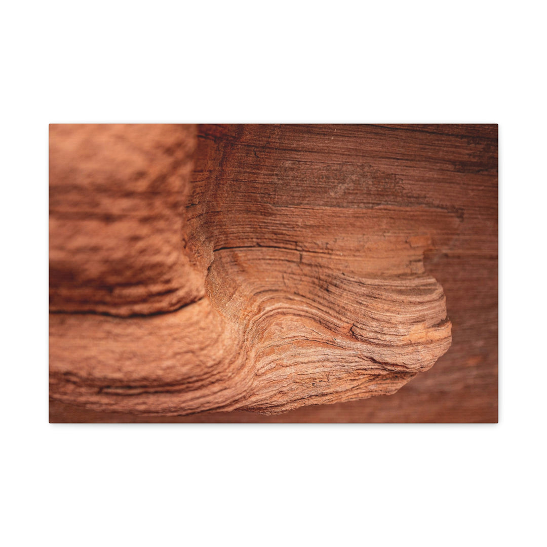 Sedimentary Rock Curves - Canvas