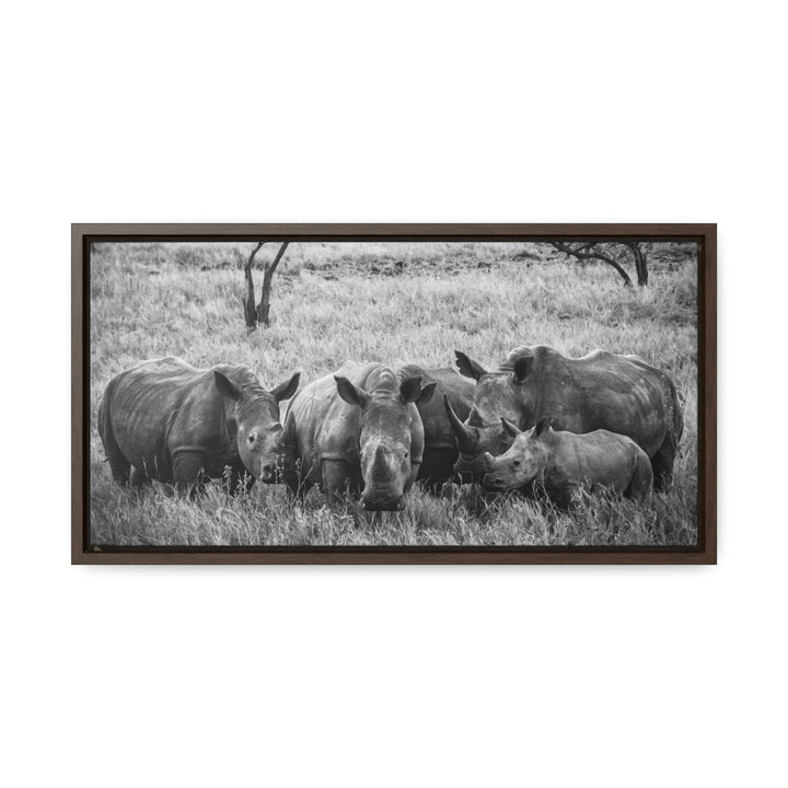 Rhino Family in Black and White - Canvas with Frame