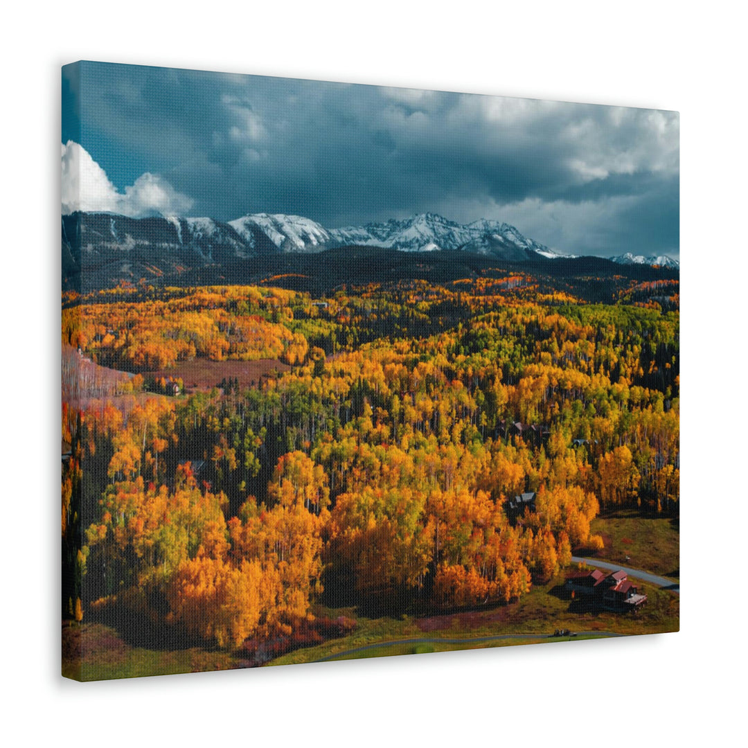 Golds of Autumn - Canvas