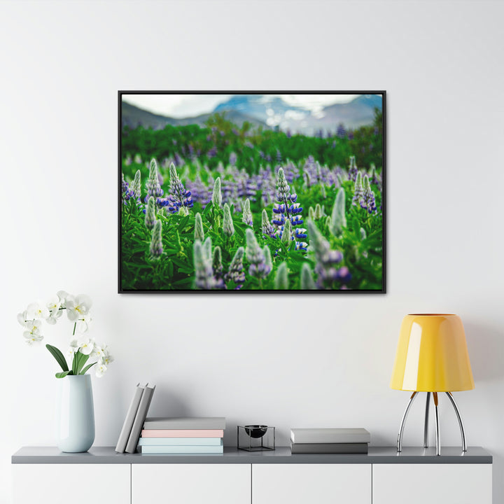 Glowing Lupin with Mountains - Canvas with Frame