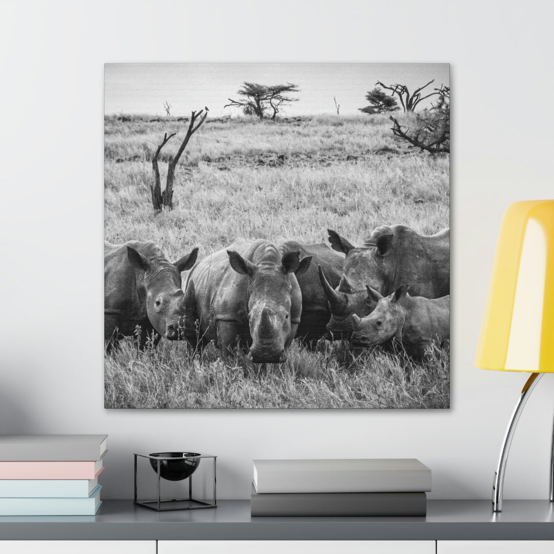 Rhino Family in Black and White - Canvas