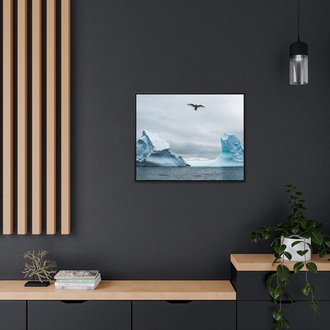 Antarctic Flight - Canvas with Frame