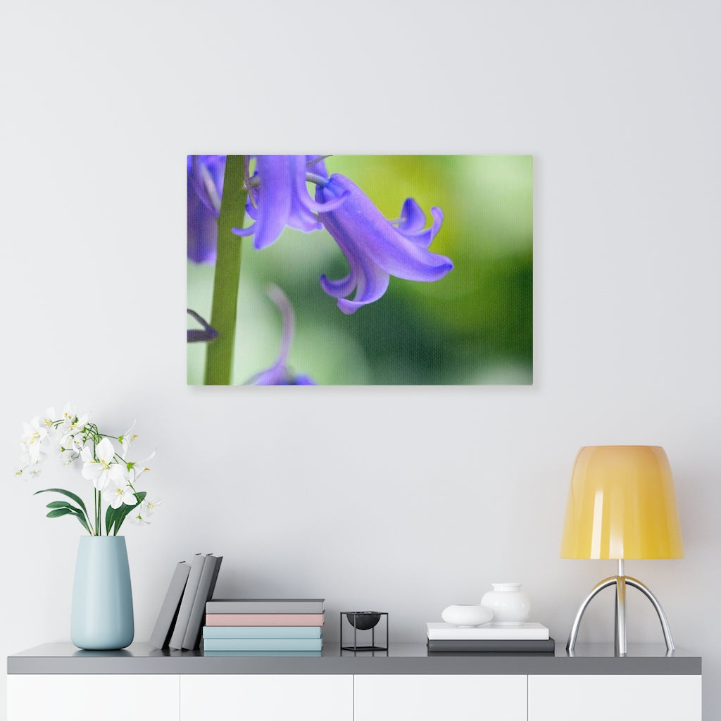 Delicate Bell - Canvas