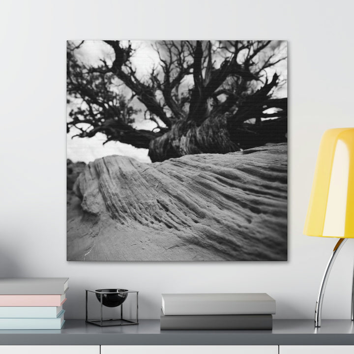 Desert Reach in Black and White - Canvas