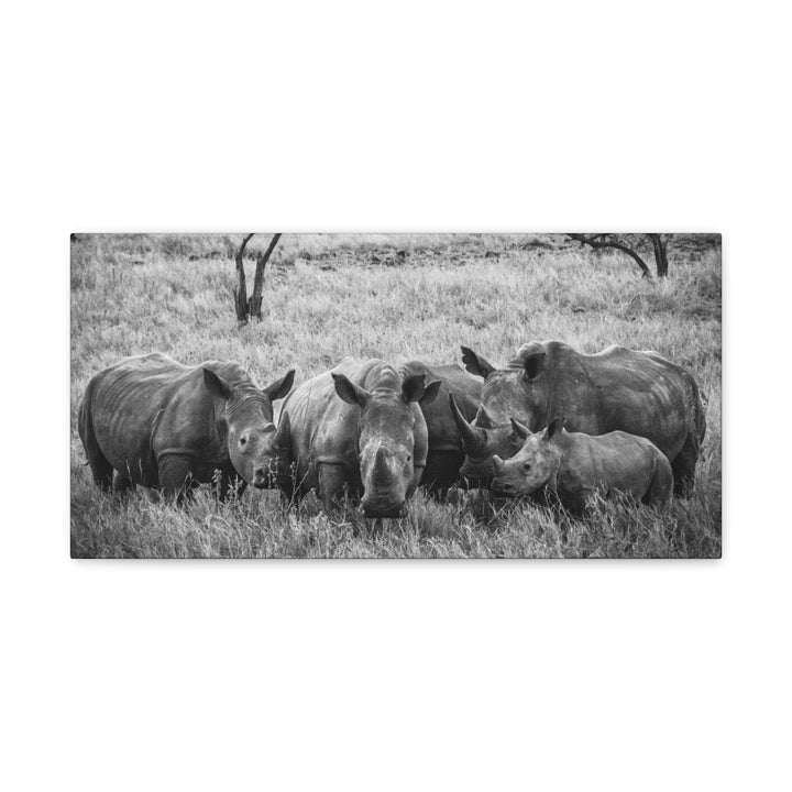 Rhino Family in Black and White - Canvas