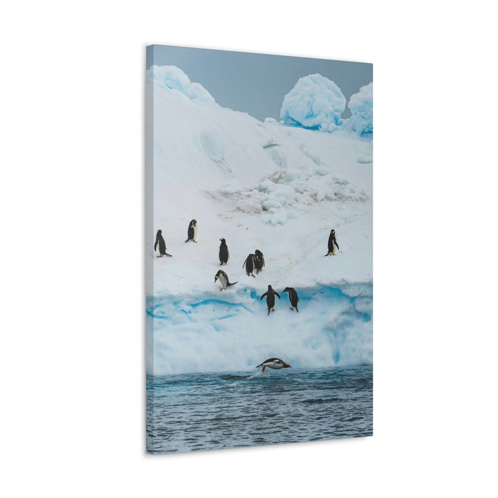 Porpoising Penguin - Canvas