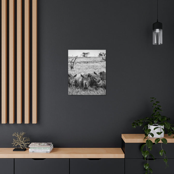 Rhino Family in Black and White - Canvas