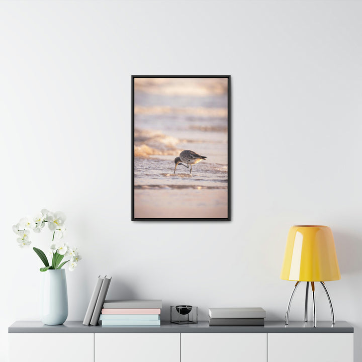 Willet Itch - Canvas with Frame