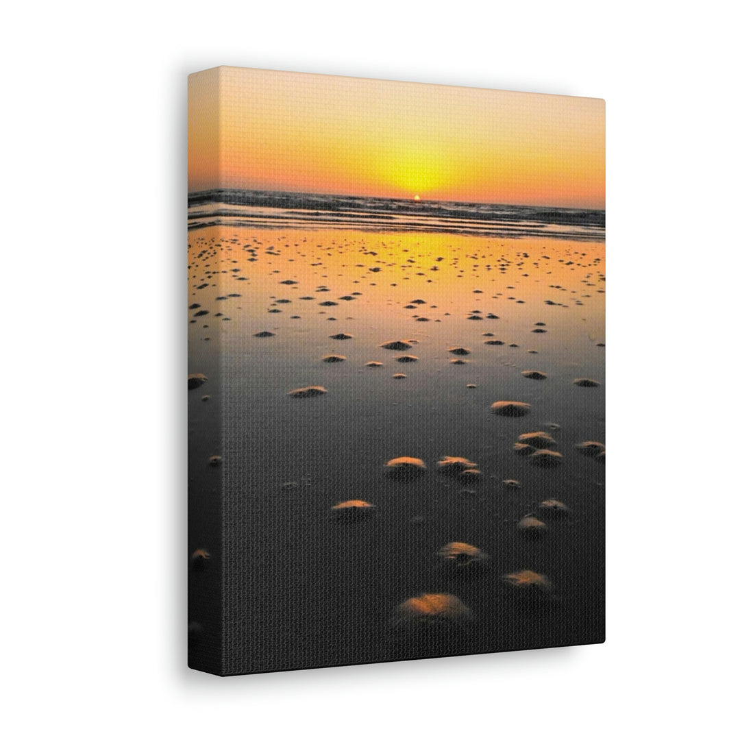 Burrows at Sunrise - Canvas