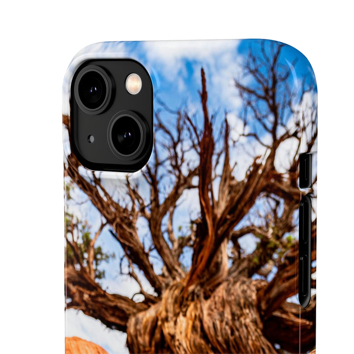 Desert Reach - Phone Case