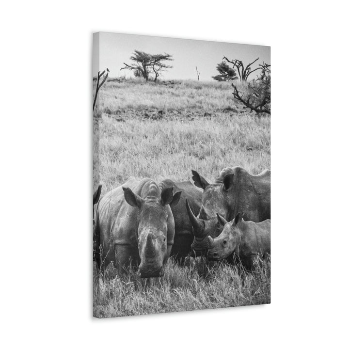 Rhino Family in Black and White - Canvas